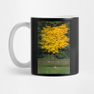 Little Yellow Tree Mug